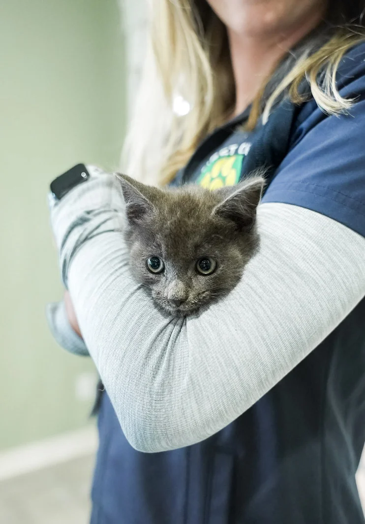 Screen Shot 2023-08-02 at 1